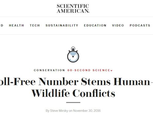 Dr. Krithi Karanth interviewed on Scientific American’s ’60-Second Science’ Podcast