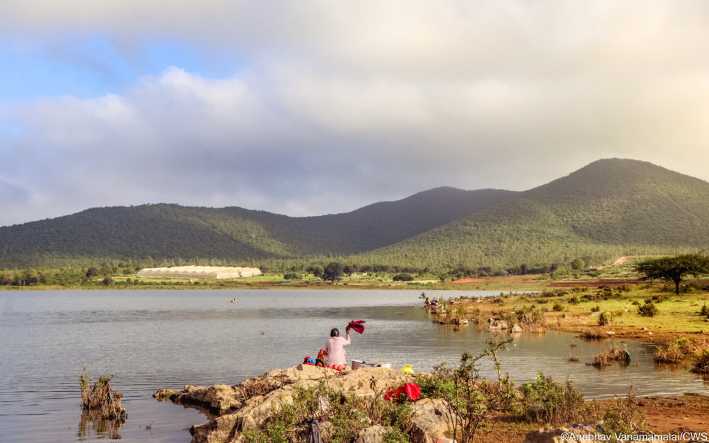 Turning to Technology: Optimising Wild Seve’s Services through Open Data Kit