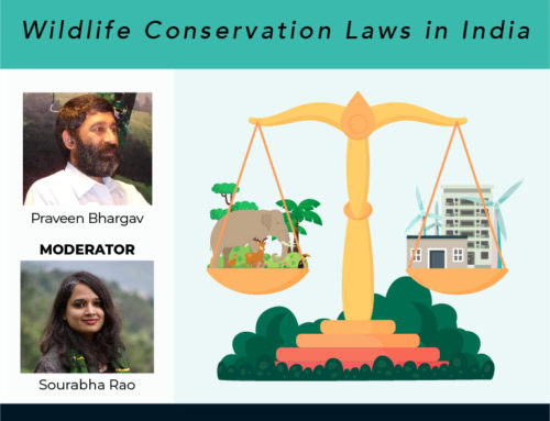 Wildlife Chronicles: Wildlife Conservation Laws in India