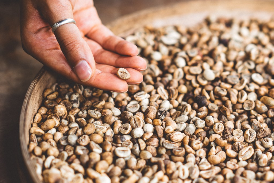 Coffee Beans