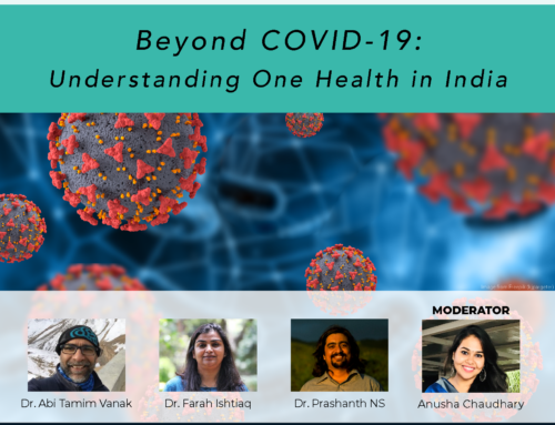 Beyond COVID-19: Understanding One Health in India
