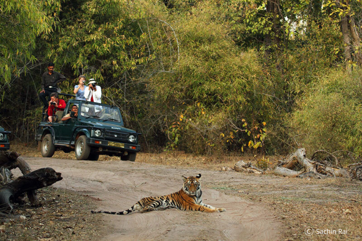 Sachin Rai