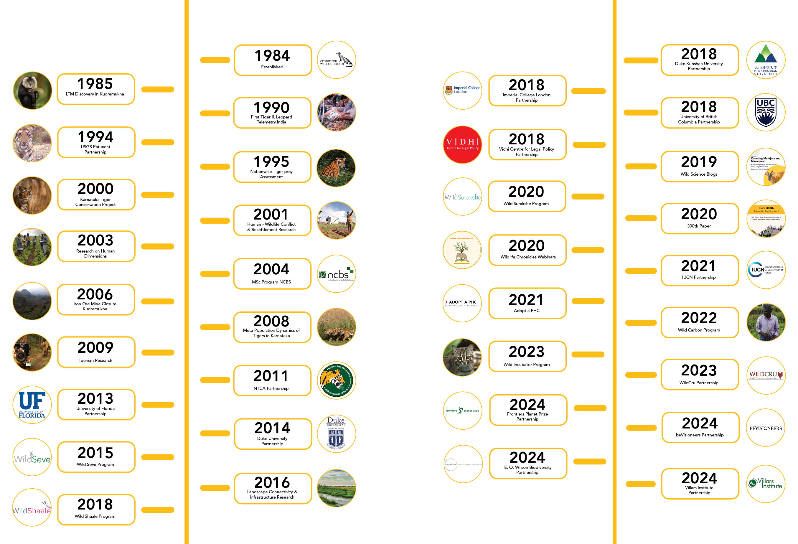 CWS Timeline
