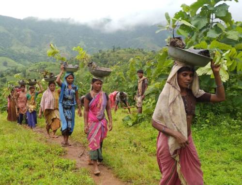 Understanding Health Challenges in Forest-Adjacent Communities in Southern India