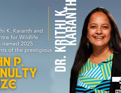 2025 John P. McNulty Prize: Dr. Krithi K. Karanth & Centre for Wildlife Studies