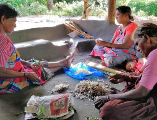 Harvesting Sustainably: Understanding Non-Timber Forest Product Use in the Western Ghats