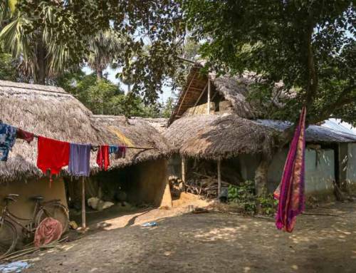 How do people living near wildlife reserves in Rajasthan perceive wildlife?