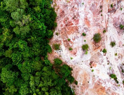 Planet at a Tipping Point:  Nature-Positive Actions for a  Hopeful Tomorrow