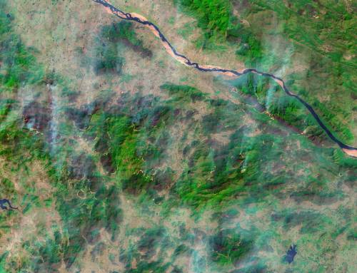 Profiling Fires Across Wildlife Reserves of Southern India